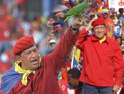 Chavez sonuçları kabul ediyor