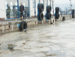 İzmit Körfezi neden beyaz?