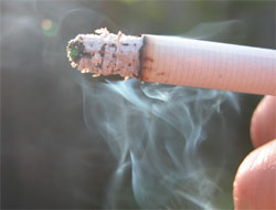 Parkta sigara yasağı